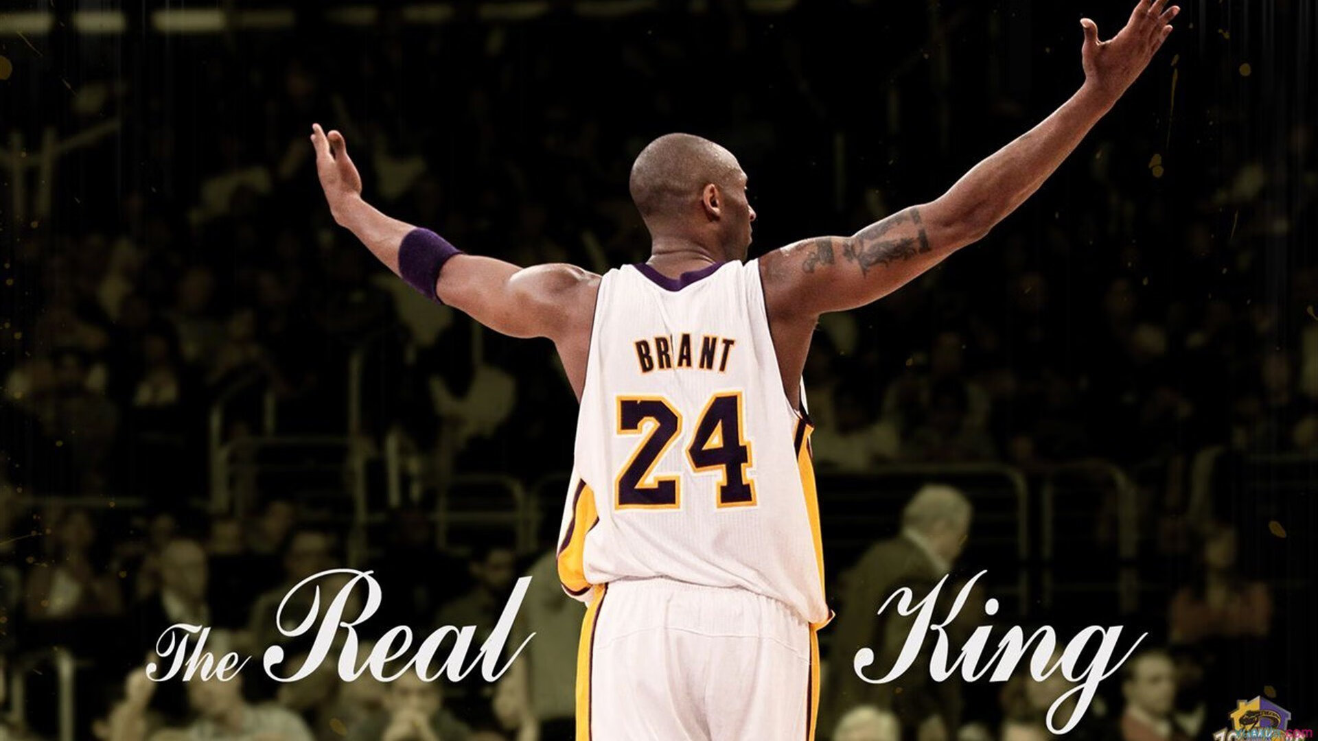 体育营养品品牌布局青少年市场，体育营养品有哪些